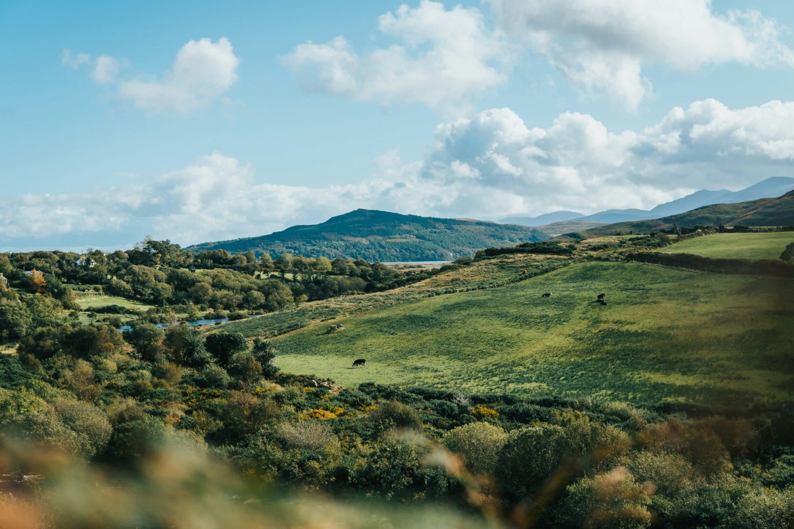 Home hero landscape