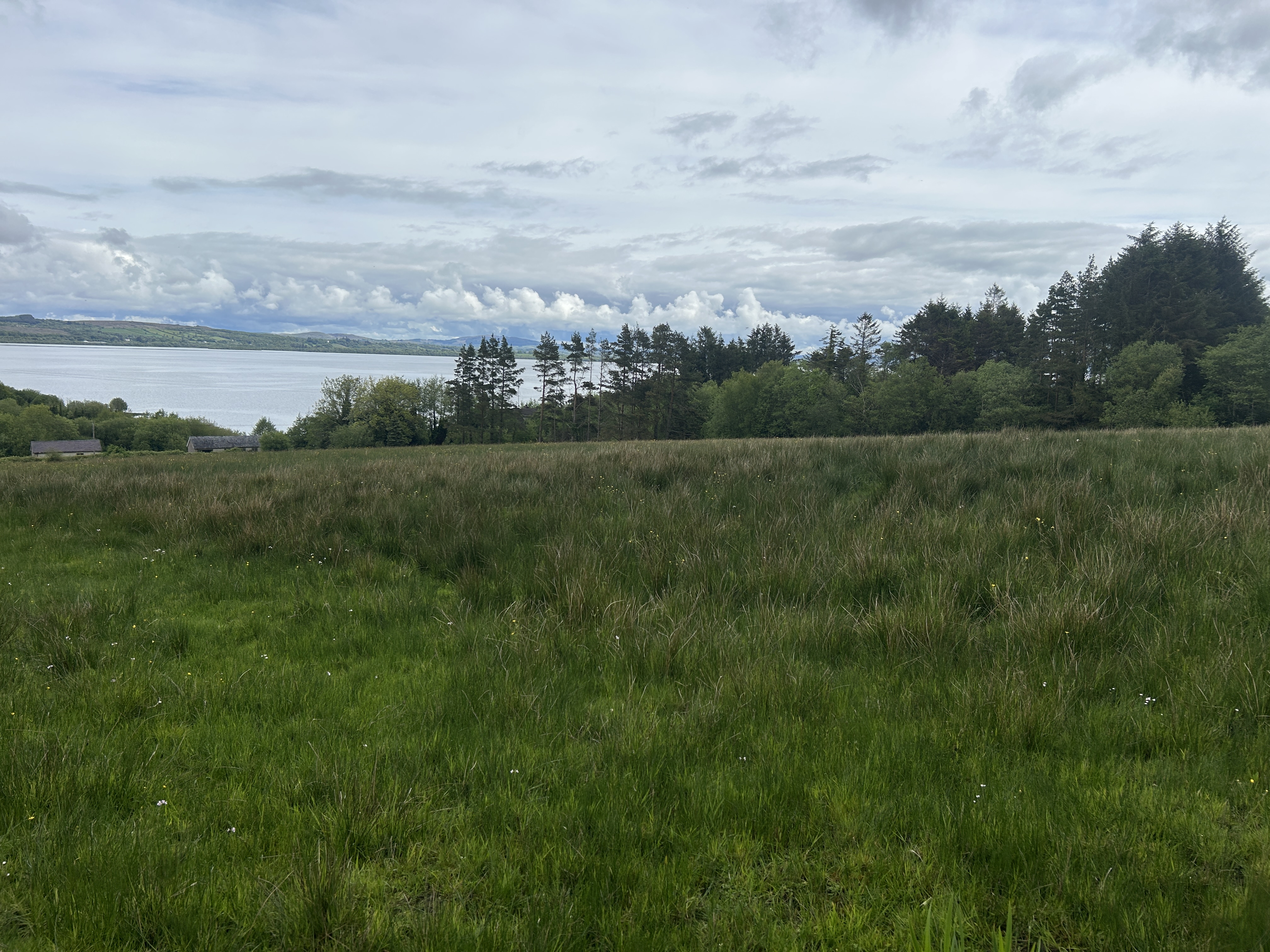 Image 4 of 10