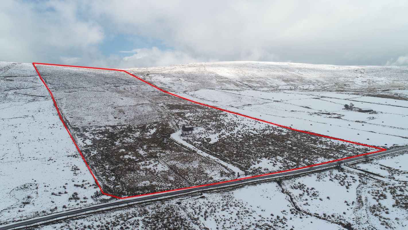 Primary Lot Photo