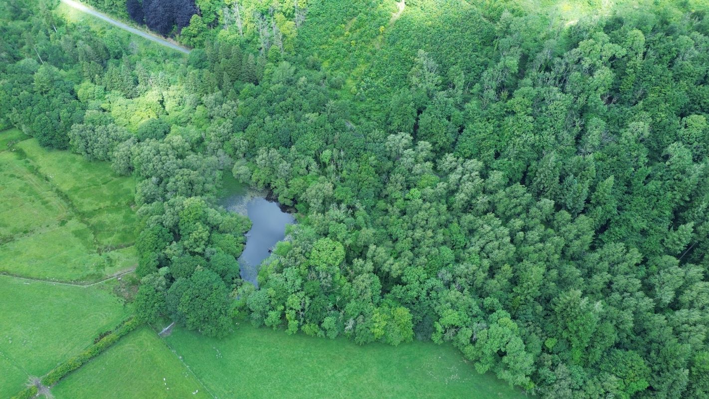 Property for Auction in Wales - Reservoir & Woodland Coed Alltfedw, Aberystwyth, Dyfed, SY23 4AT