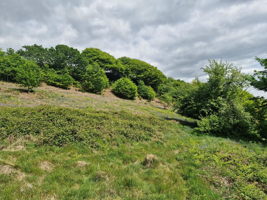 Land to the rear of Graigwen Farm Graigwen, Pontypridd, CF37 3NL