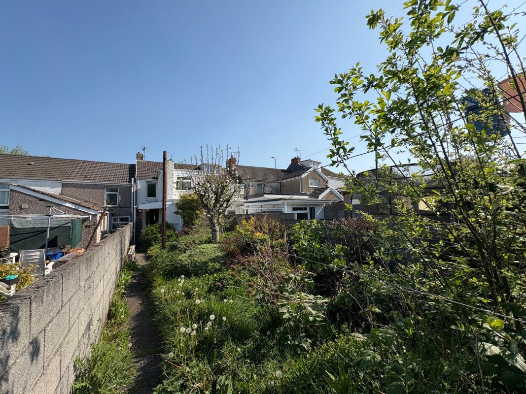 Lot Image