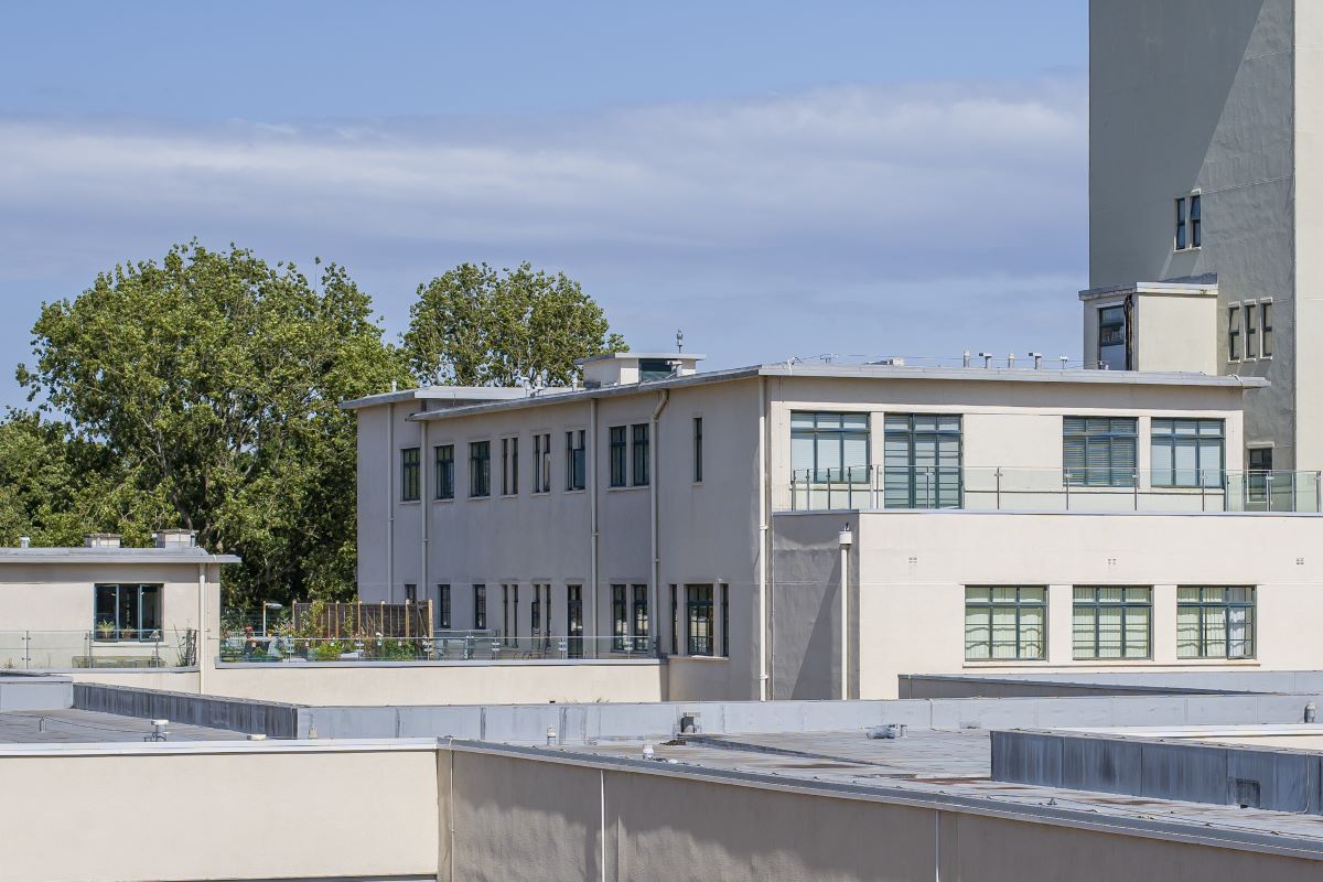 Lot Image