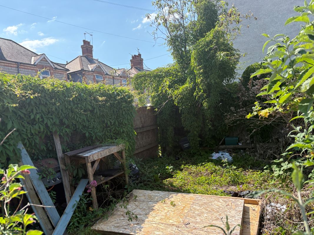 Lot Image