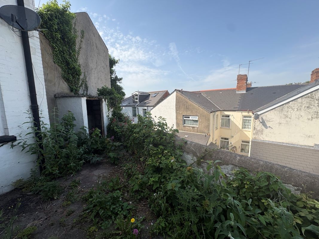 Lot Image