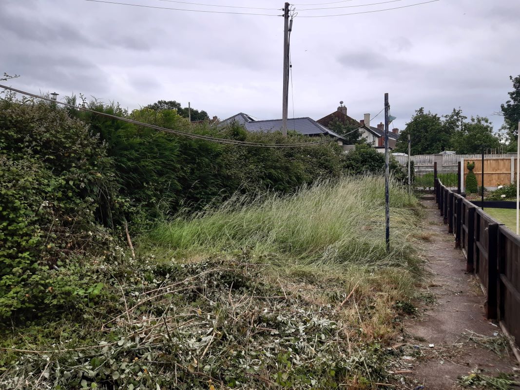 Lot Image