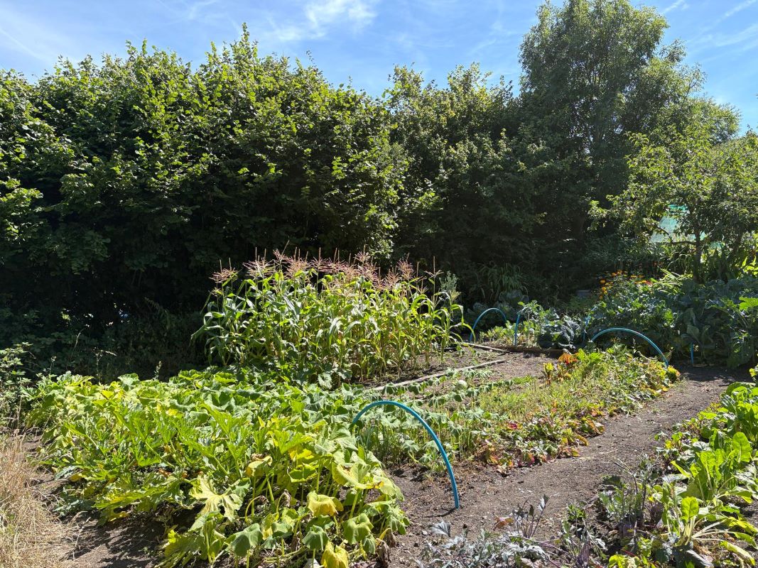 Lot Image