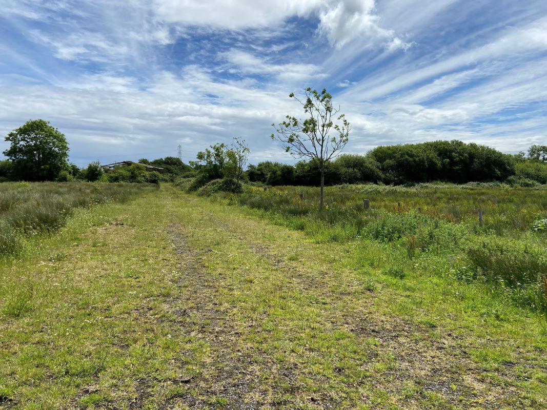 Lot Image