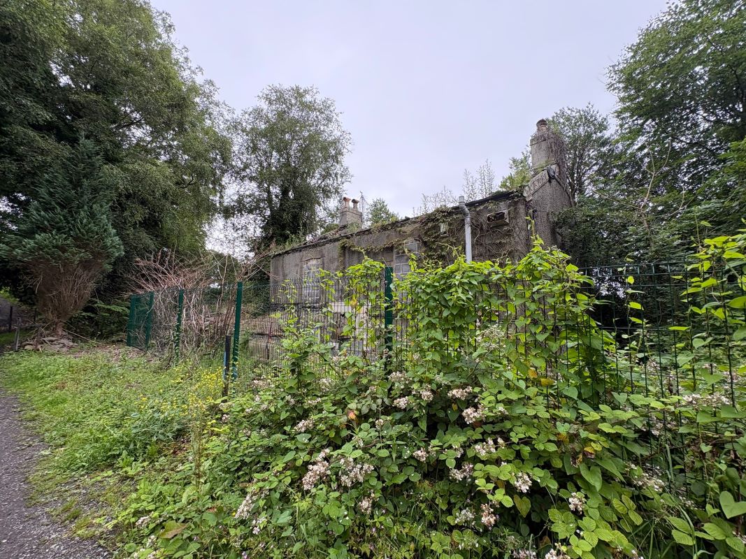 Lot Image