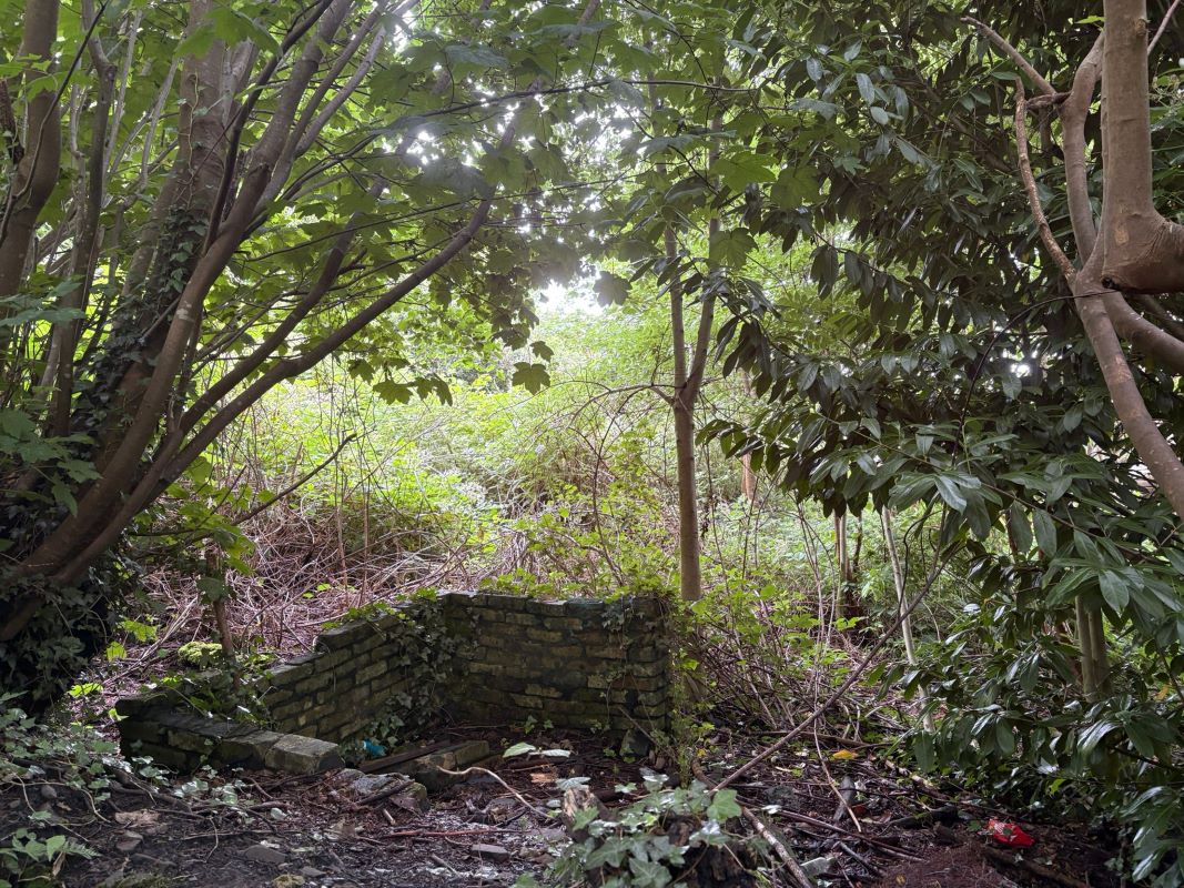 Lot Image