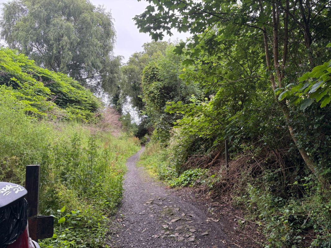 Lot Image