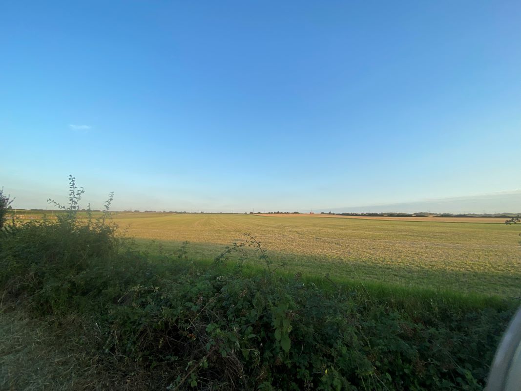 Plots 7, 11 and 113, High Road, Little Downham, Ely, Wardy Hill