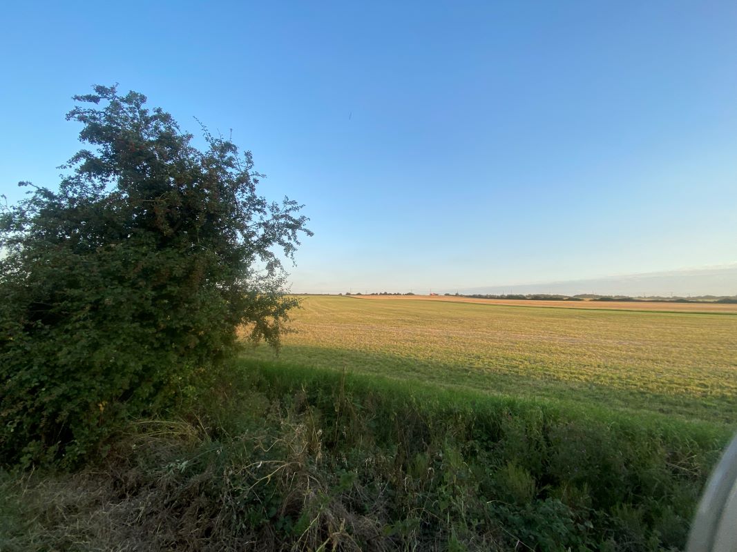 Plots 7, 11 and 113, High Road, Little Downham, Ely, Wardy Hill