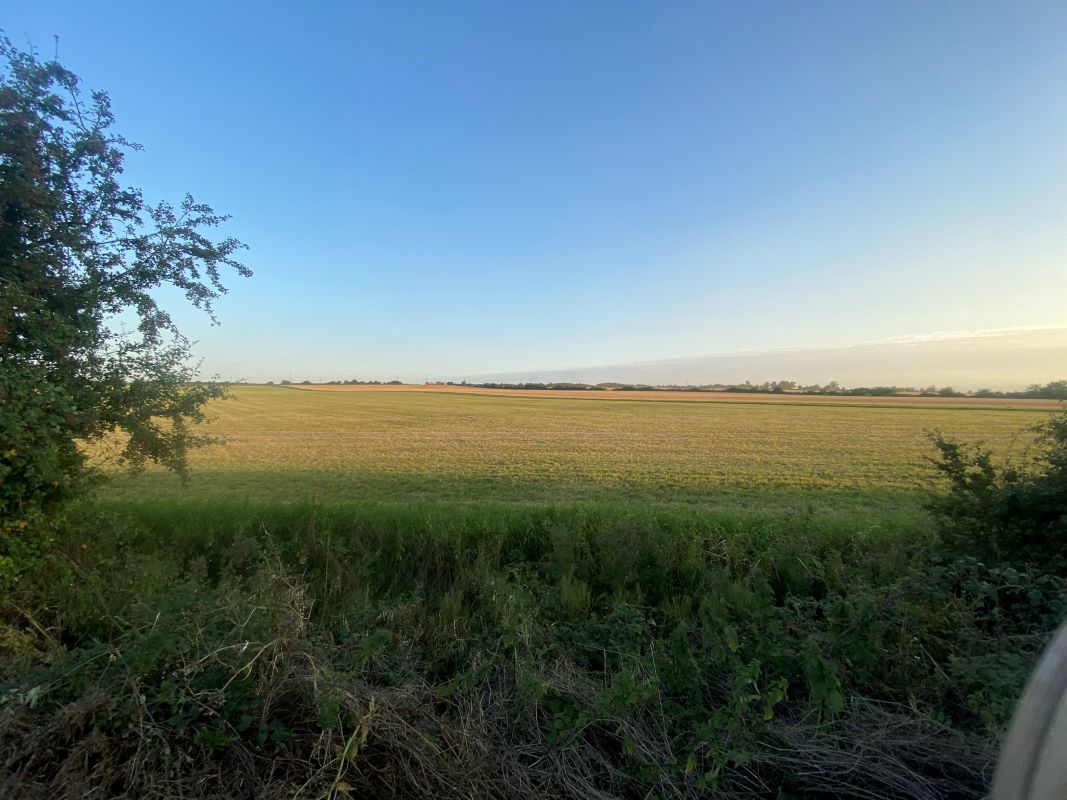 Plots 7, 11 and 113, High Road, Little Downham, Ely, Wardy Hill