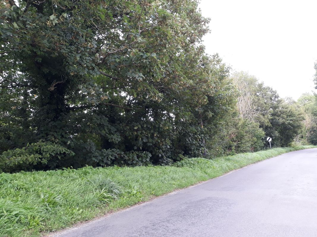 Plot 58 and Plot 59 and, Small Street, Chirton, Devizes, Wiltshire, SN10 3QY LSH Property Auctions