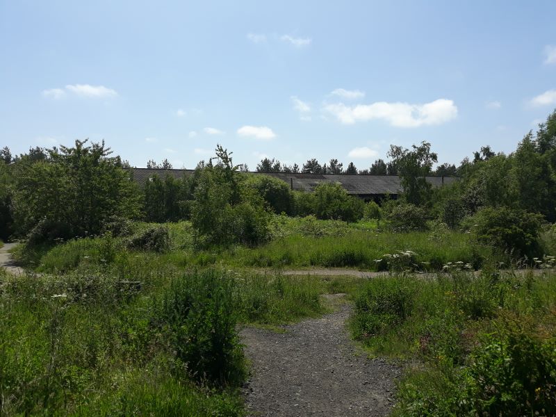 Primary Lot Photo