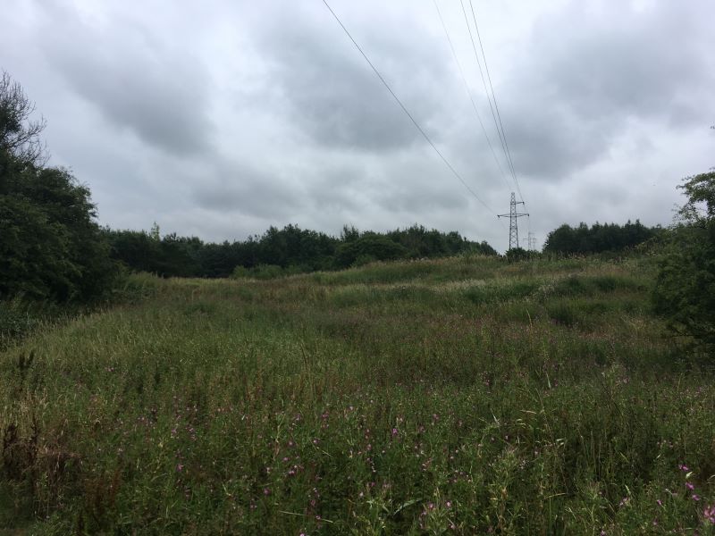 Primary Lot Photo