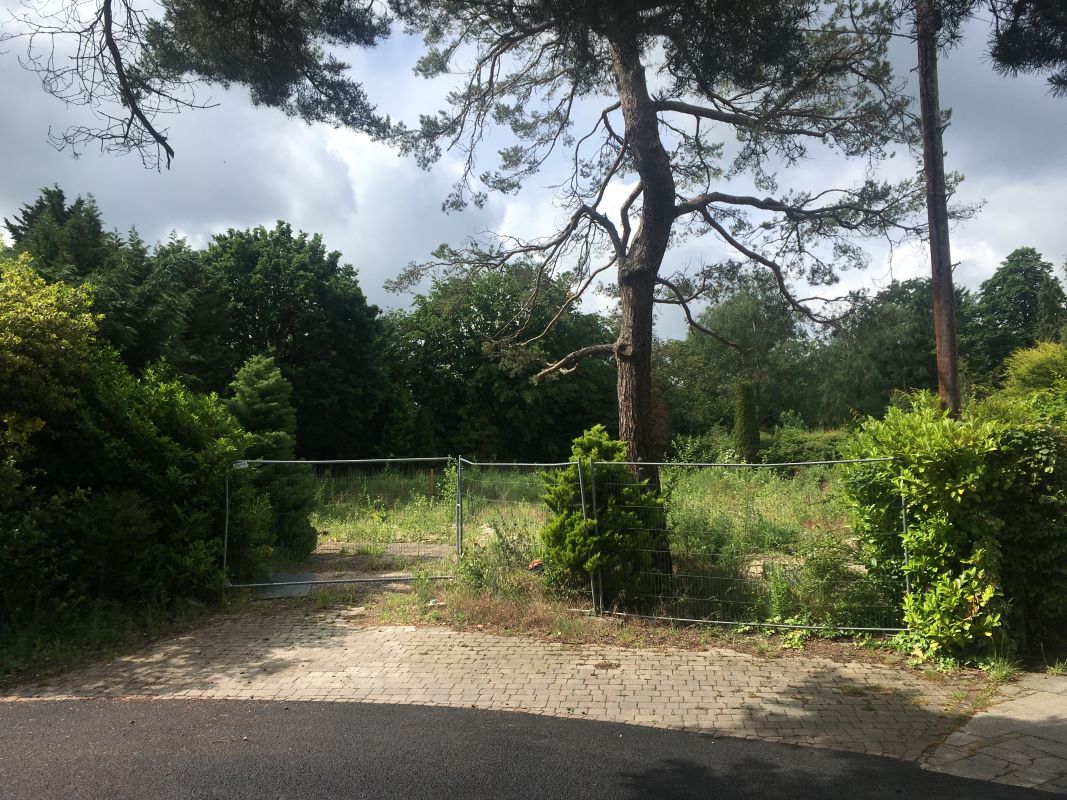 Primary Lot Photo