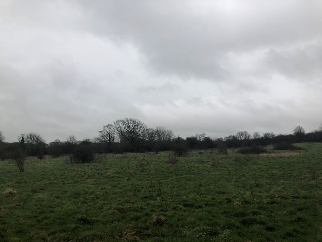 Land at Mill Road, Mill Road, Hailsham, East Sussex, BN27 2HY