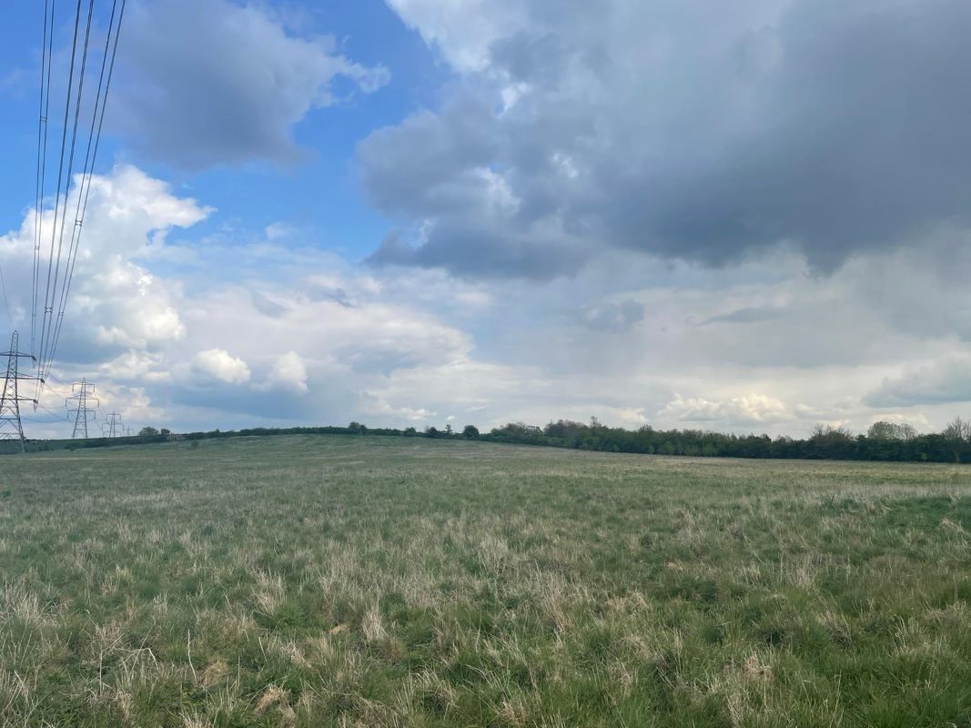 Primary Lot Photo
