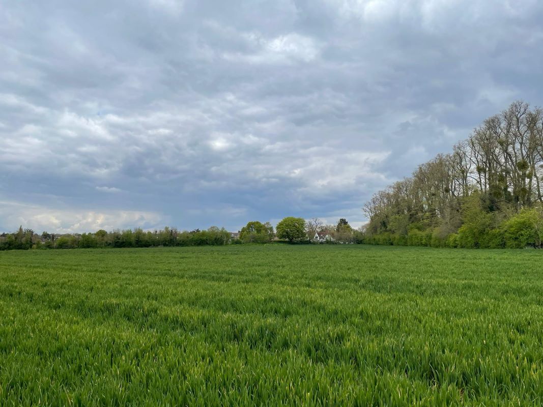 Land on the east of Lake End Road, Taplow, SL6 0PN