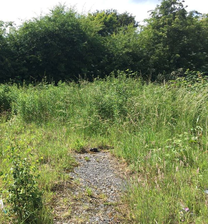 Land Adjacent, 44 Cotmanhay Road, Ilkeston, Derbyshire, DE7 8LL