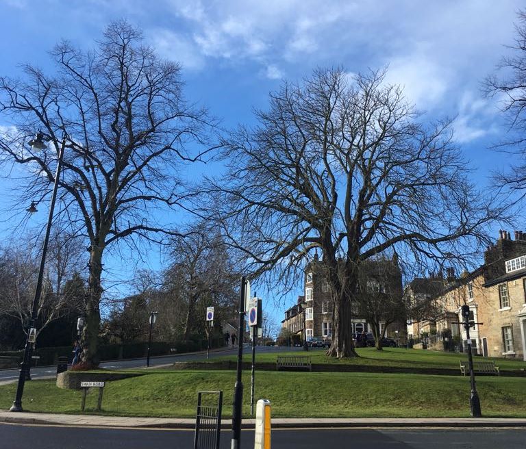 Apartment 5, The Toffee Works, 39 Swan Road, Harrogate, HG1 2SA