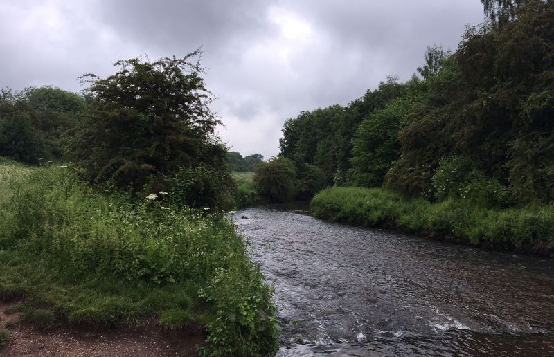 Amenity Land at Warren Farm, New Mill Lane, Forest Town, Mansfield, NG19 0HQ