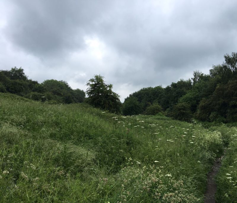 Amenity Land at Warren Farm, New Mill Lane, Forest Town, Mansfield, NG19 0HQ