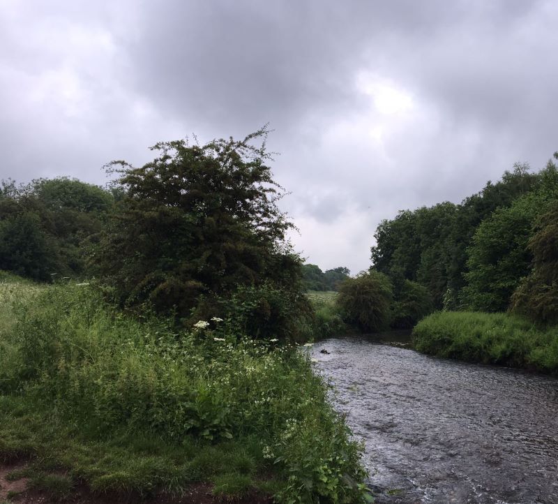 Amenity Land at New Mill Lane, Forest Town, Mansfield, NG19 0HQ