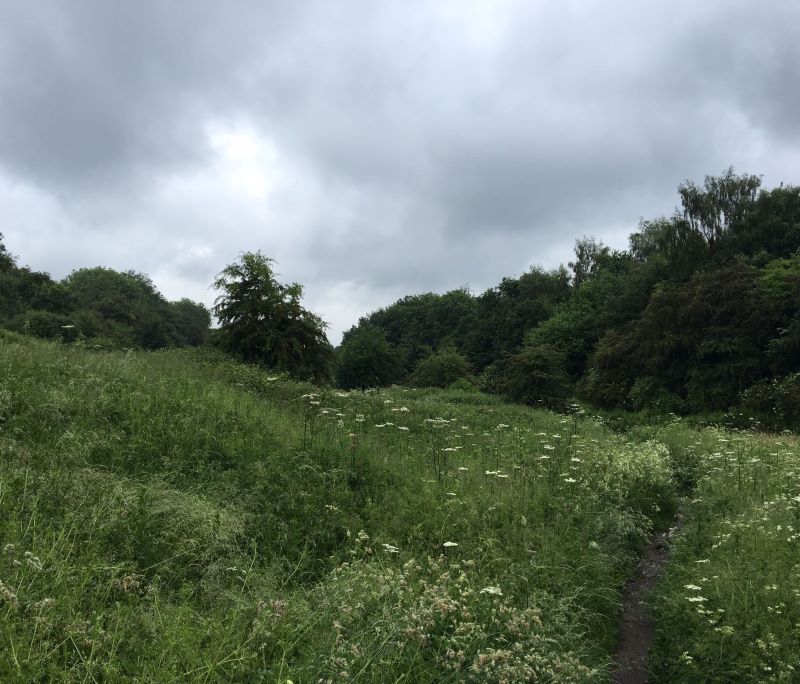 Amenity Land at New Mill Lane, Forest Town, Mansfield, NG19 0HQ