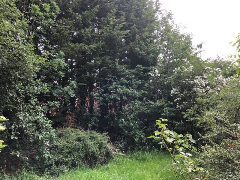1 Cinderhill Footway, Nottingham, NG6 0BQ