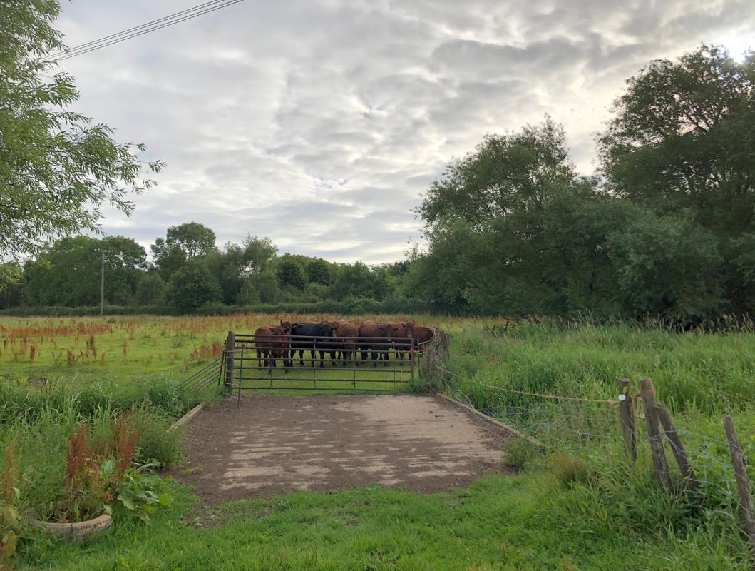 Land off Green Lane, Girton, Newark, NG23 7JA