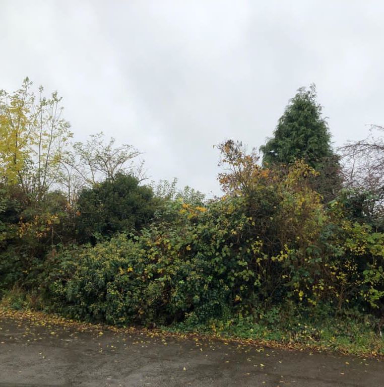 Land at, Litchfield Rise, Arnold, Nottingham, NG5 8HU