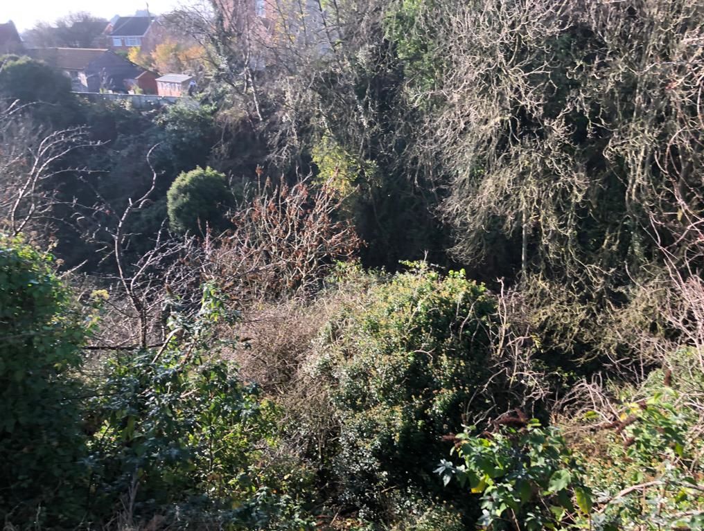 Land to the East of Marmion Road, Nottingham, NG3 2NZ