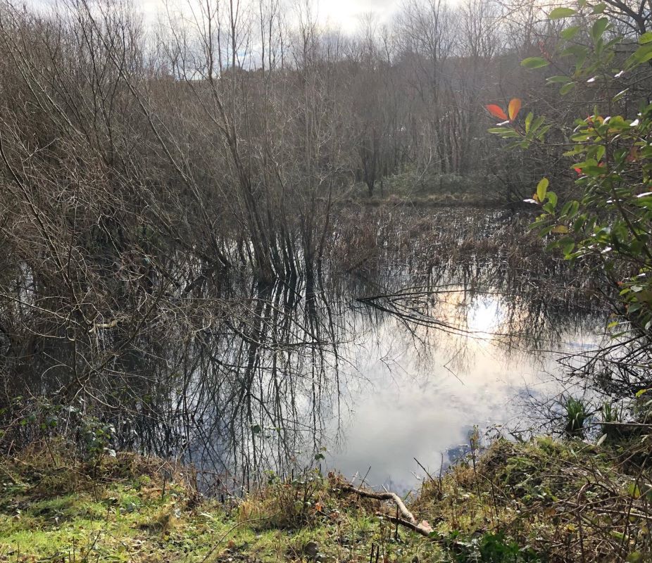 Land & Pond to the South of the Park Eirin Estate, Tonyrefail, Porth, Mid Glamorgan, CF39 8JA