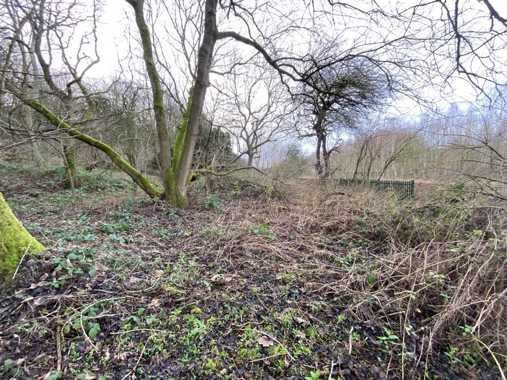 Land at Former Wellow Park Cottages, Cocking Hill, Ollerton, NG22 9LB