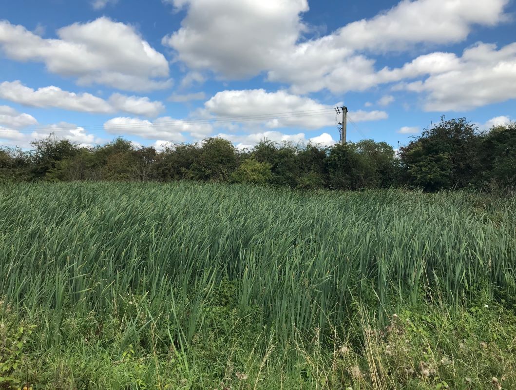 Land adjacent to Moore Road, South Leicester Industrial Estate, Coalville, LE67 1EU