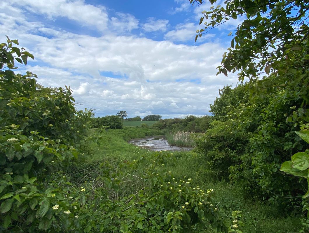 Land adjacent to Moore Road, South Leicester Industrial Estate, Coalville, LE67 1EU