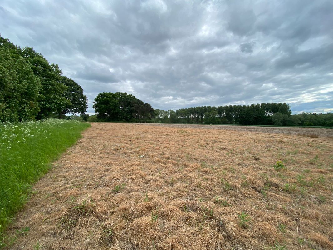 Land adjacent to The Courtyard, Gaulby Lane, Stoughton, Leicester, LE2 2FL