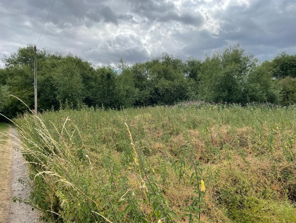 Land adjacent to River Erewash Barton Lane, Barton Ferry, Attenborough Nature Reserve, Nottingham, NG9 6DY