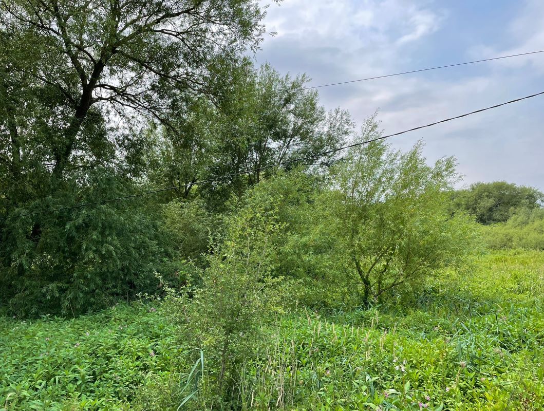 3.8 acres of land Barton Lane, Barton Ferry, Attenborough Nature Reserve, Nottingham, NG9 6DY