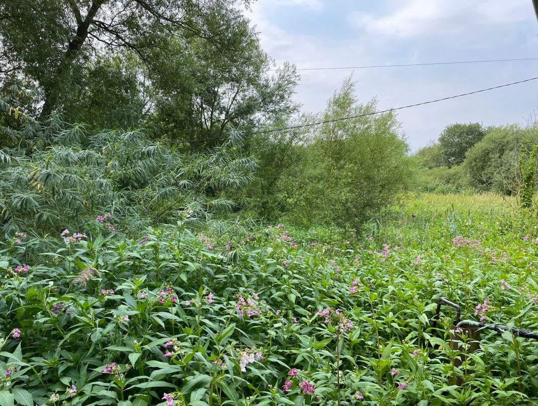 3.8 acres of land Barton Lane, Barton Ferry, Attenborough Nature Reserve, Nottingham, NG9 6DY