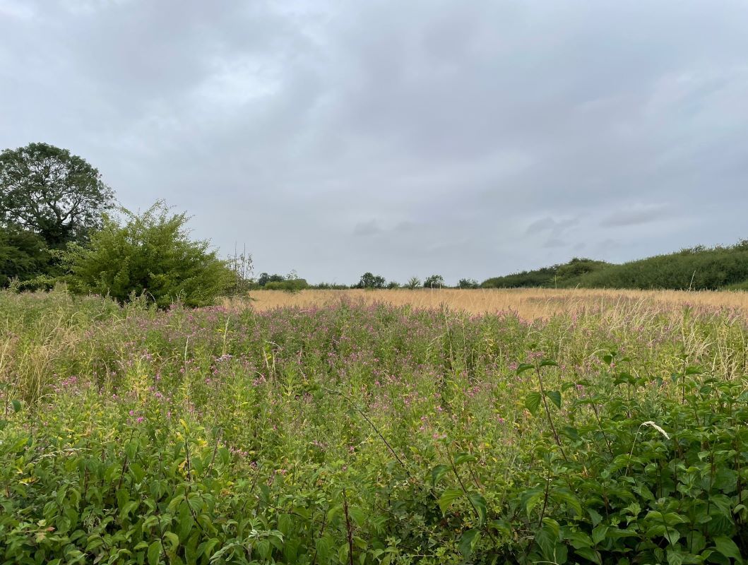 Land at Moor Lane, South Witham, Grantham, NG33 5PW