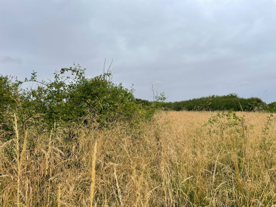 Land at Moor Lane, South Witham, Grantham, NG33 5PW