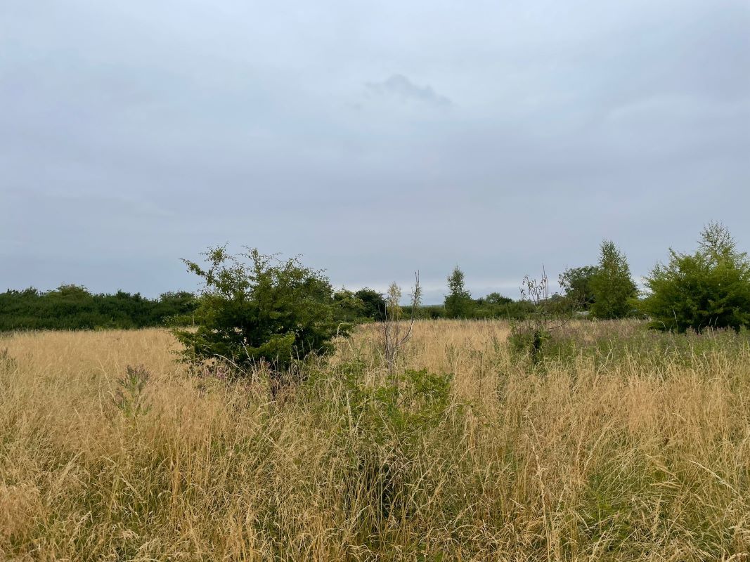 Land at Moor Lane, South Witham, Grantham, NG33 5PW