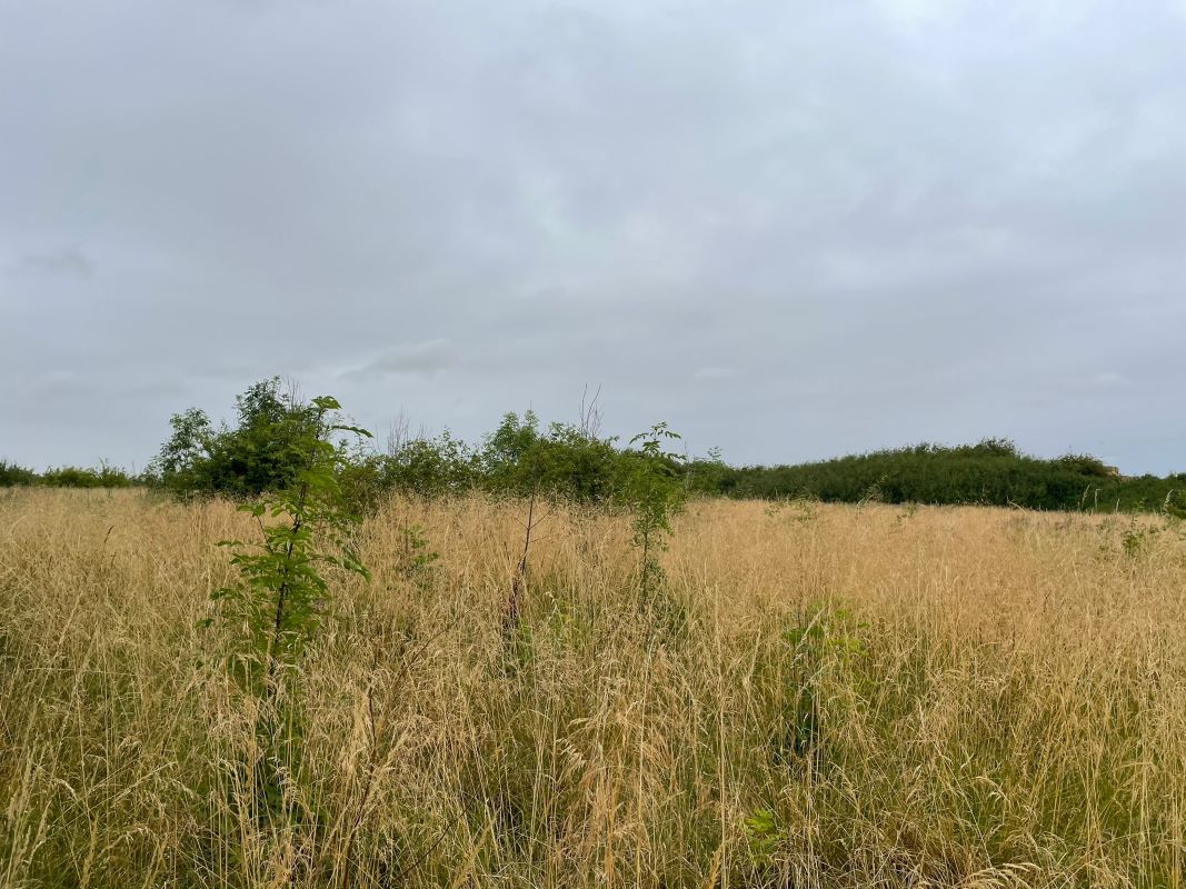 Land at Moor Lane, South Witham, Grantham, NG33 5PW