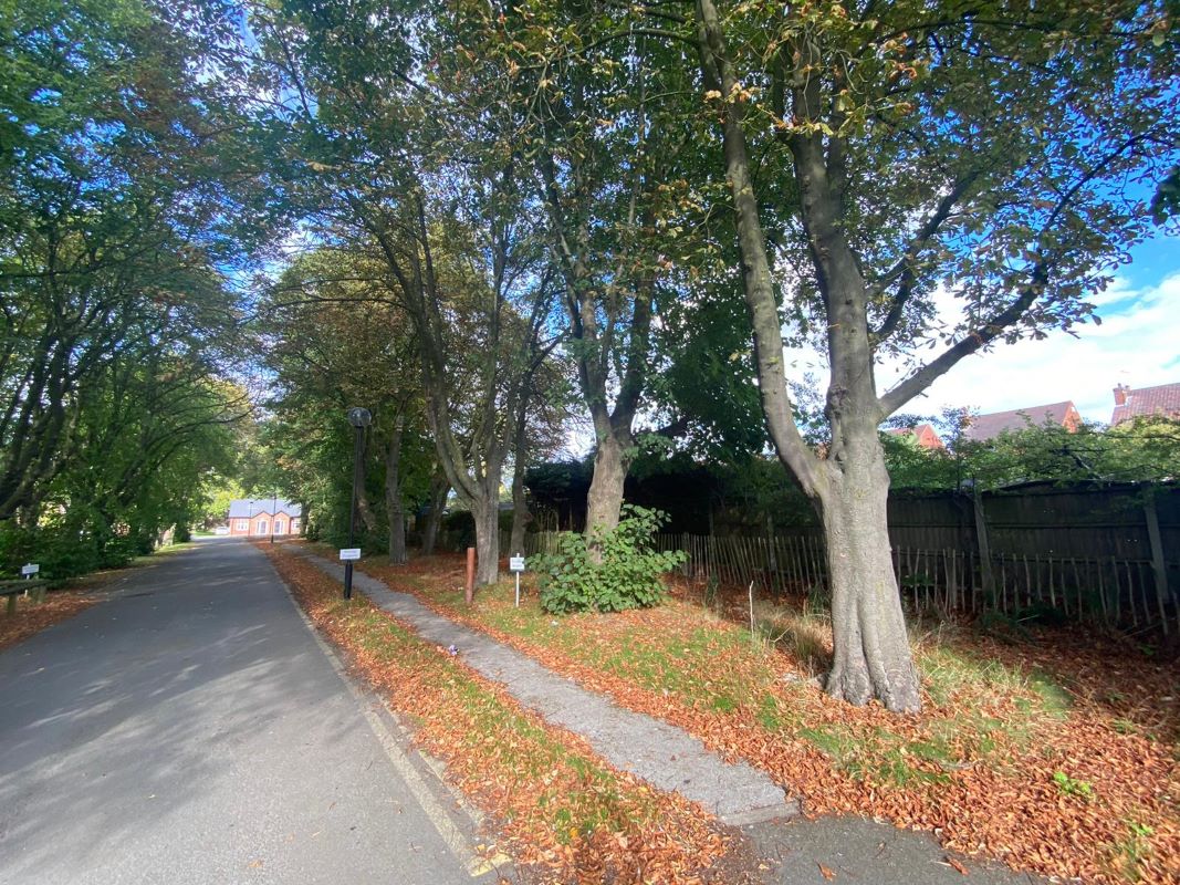 Land at Entrance to The Hive, Southwell Road West, Mansfield, NG18 4XX