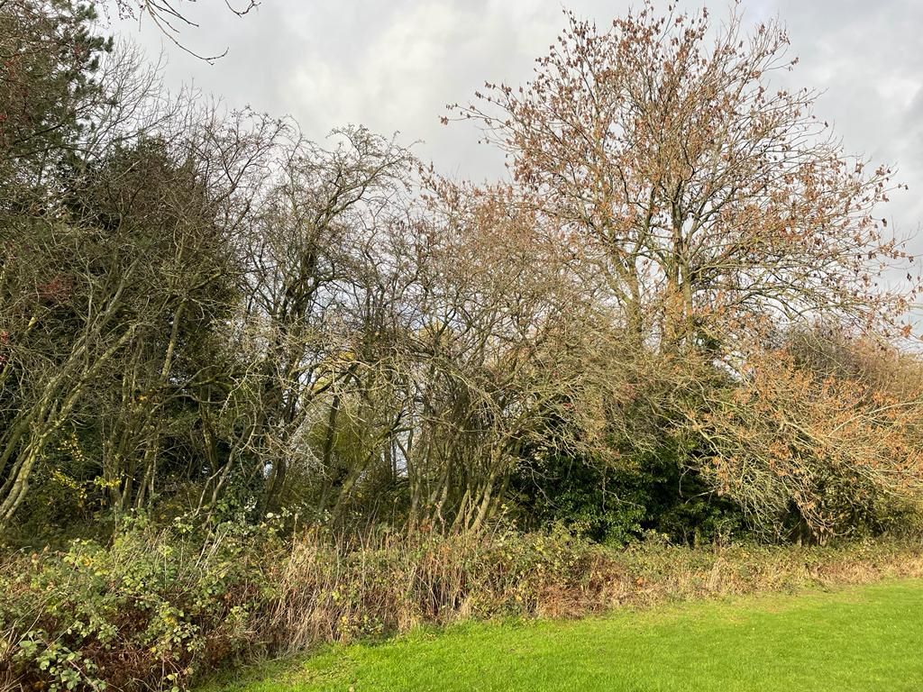 Land on the north-east side of Fackley Road, Teversal, NG17 3HN