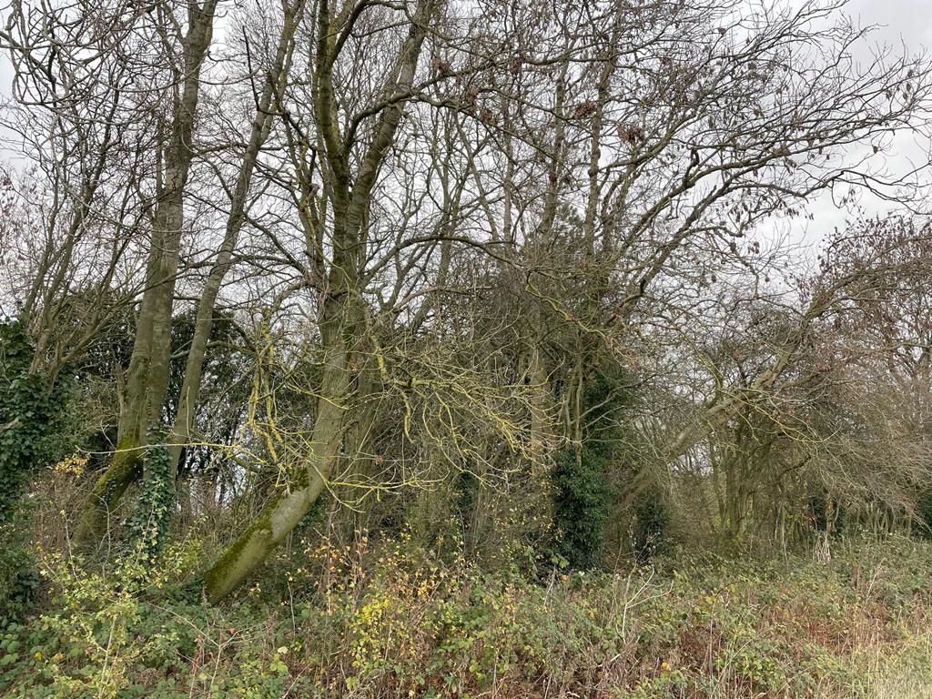 Land on the north-east side of Fackley Road, Teversal, NG17 3HN